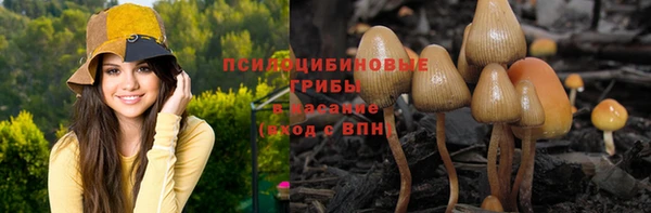 мескалин Надым