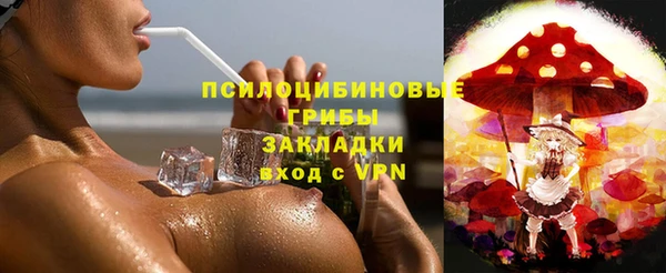 мескалин Надым