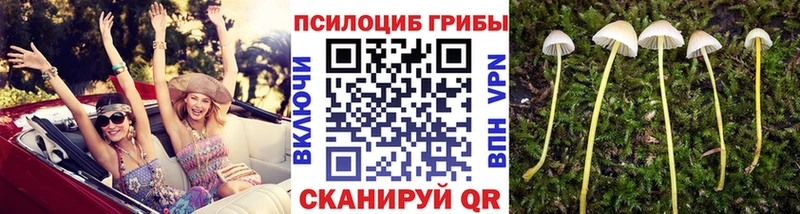 Псилоцибиновые грибы ЛСД  даркнет сайт  Лиски 